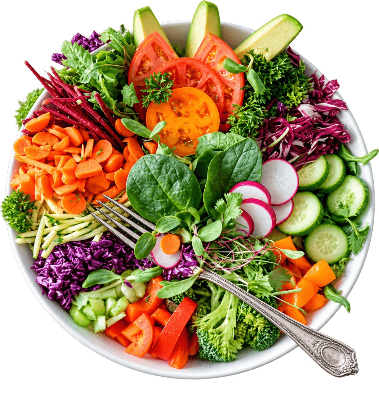 Sprout Protein Bowl